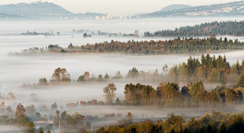 Enjoy Maple Ridge While Waiting for Your Car Repair